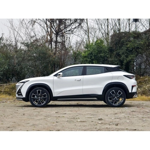 Лейсан Утяшева және порно